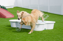 5 QTY Bone Pool™️and 5 QTY Paw Pool™️ Package by One Dog One Bone™️